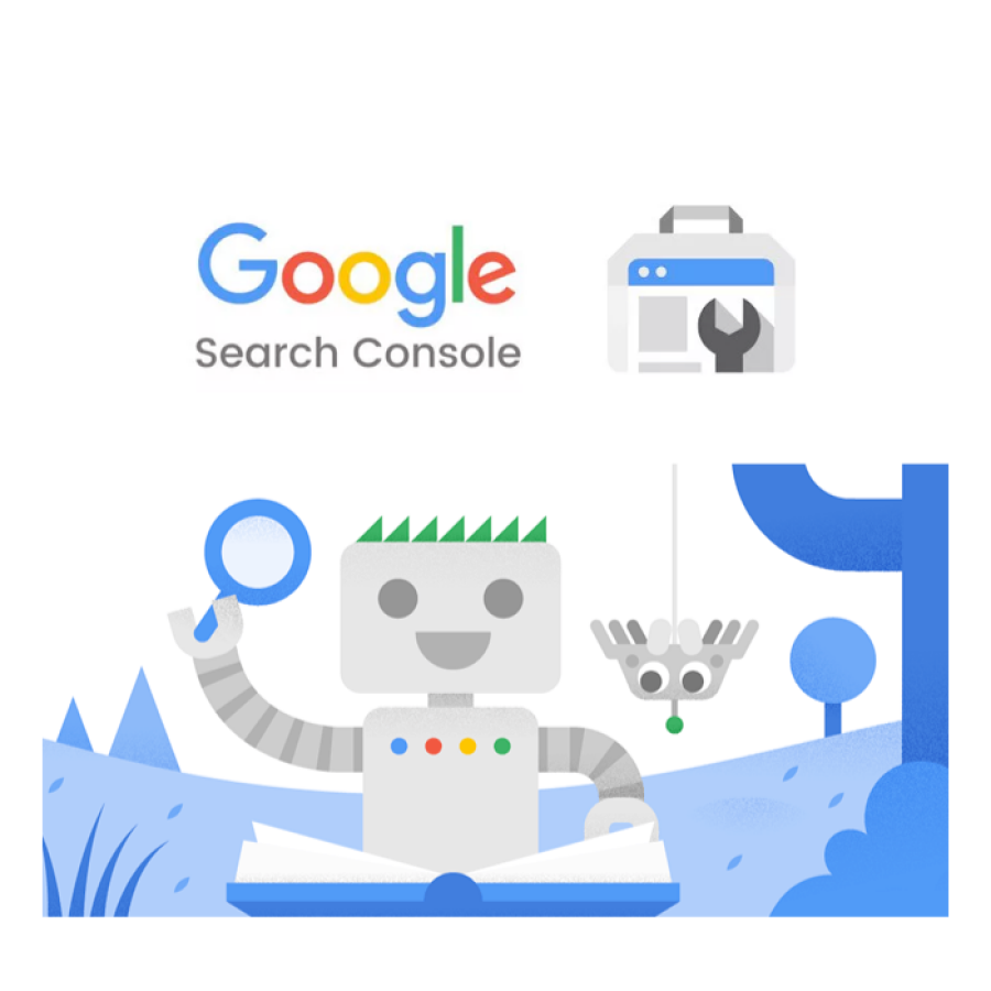 Imagem search console